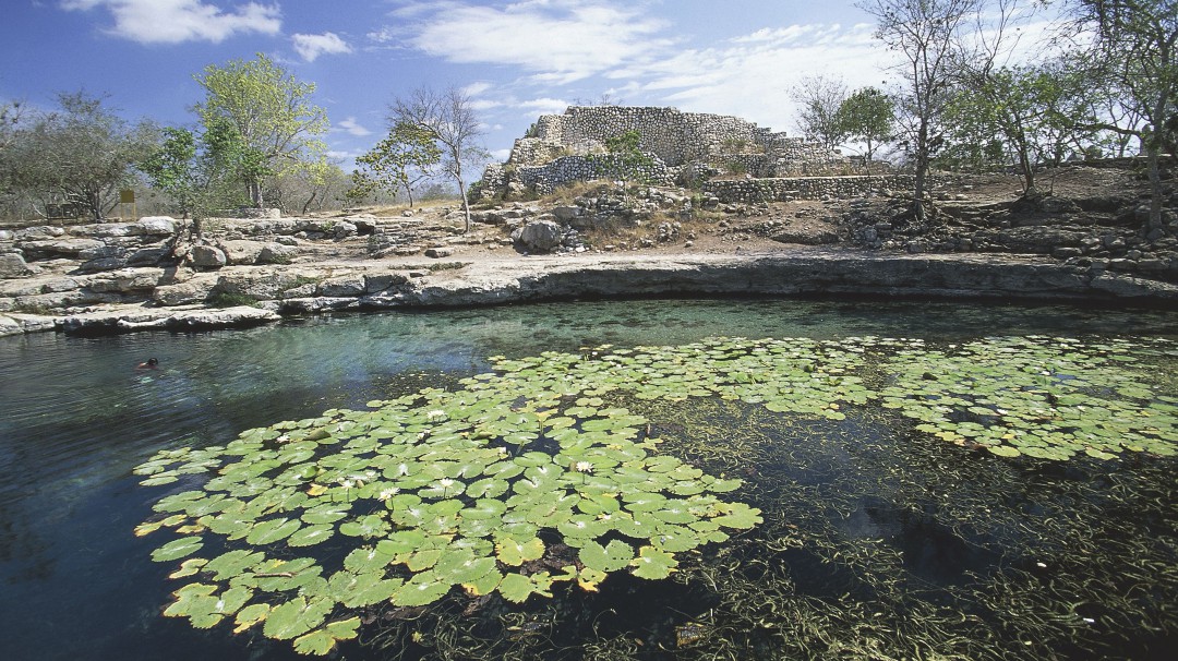 Cenotes de Chen-Ha en Yucatán ¡Usados como basureros!