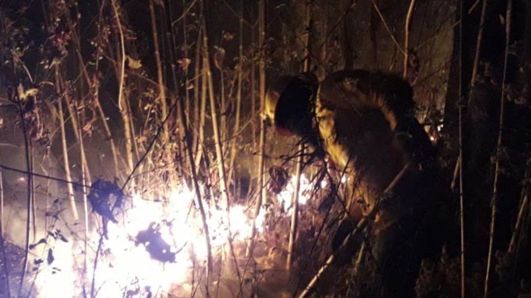 Detenido causante de incendio en el Centinela