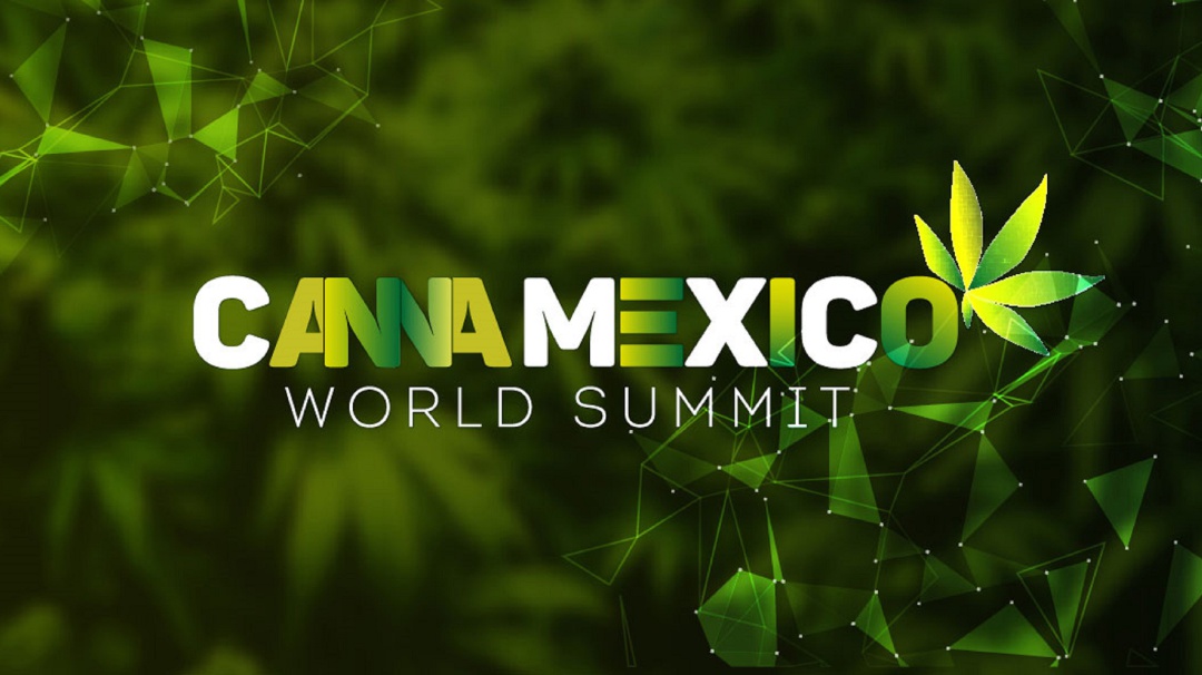 Kaeri platicó con Victor Figueroa sobre Canna México