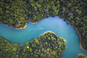 Si no hacemos algo, en 2050 nuestros recursos ambientales terminarán Si no hacemos algo, en 2050 nuestros recursos ambientales terminarán