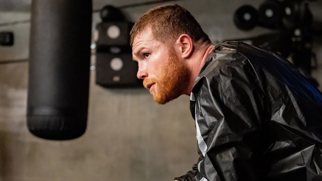 Así reaccionó el "Canelo" tras accidente de avión que regresaba de su pelea