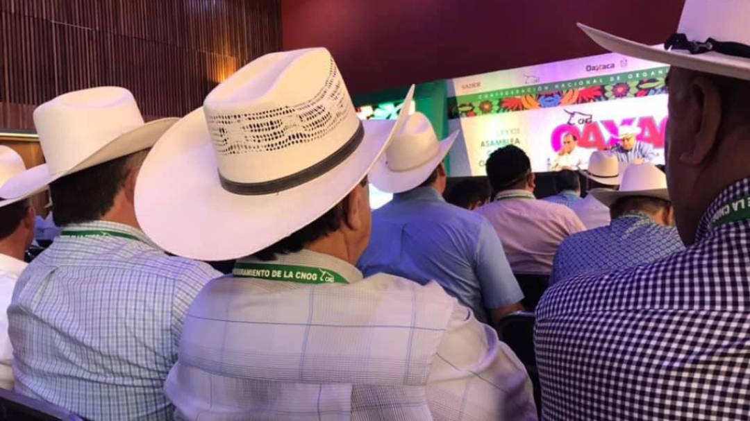 Ganaderos van por fortalecer a su sector