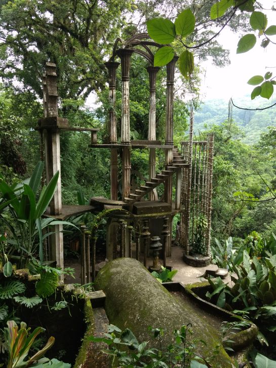 Aves fallecen en Xilitla, San Luis Potosí por ola de calor y la poda de árboles Aves fallecen en Xilitla, San Luis Potosí por ola de calor y la poda de árboles