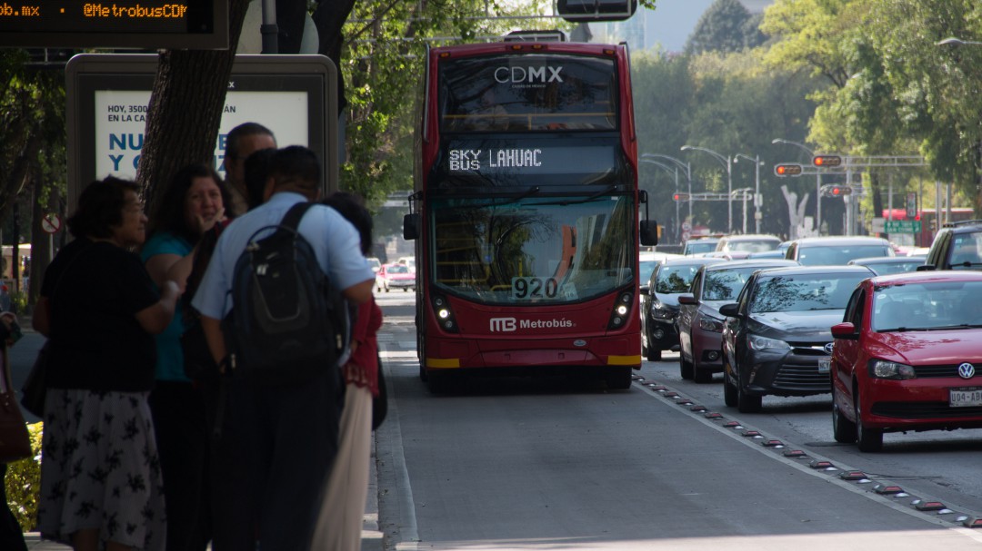 Ampliación de línea 5 del metrobús provocará la tala de 431 árboles - CDMX
