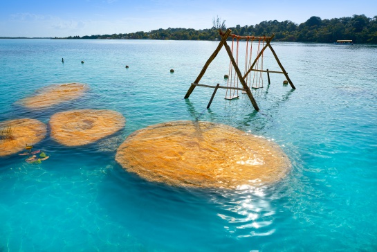 Por contaminación la laguna de Bacalar está perdiendo sus siete colores Por contaminación la laguna de Bacalar está perdiendo sus siete colores