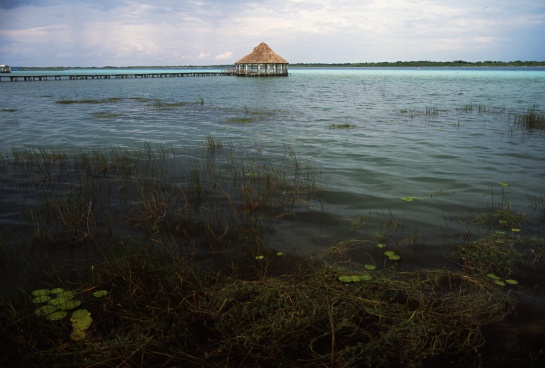 Por contaminación la laguna de Bacalar está perdiendo sus siete colores Por contaminación la laguna de Bacalar está perdiendo sus siete colores