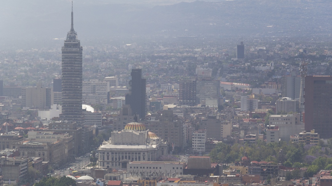 ¿Por qué están aumentando las alergias con el cambio climático?