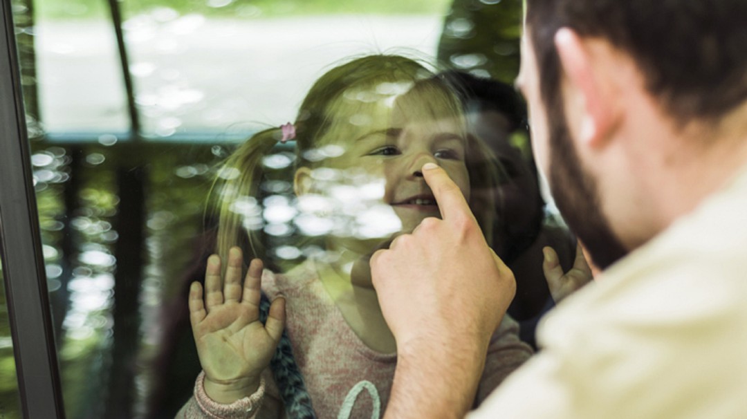 BBmundo: La paternidad después del divorcio