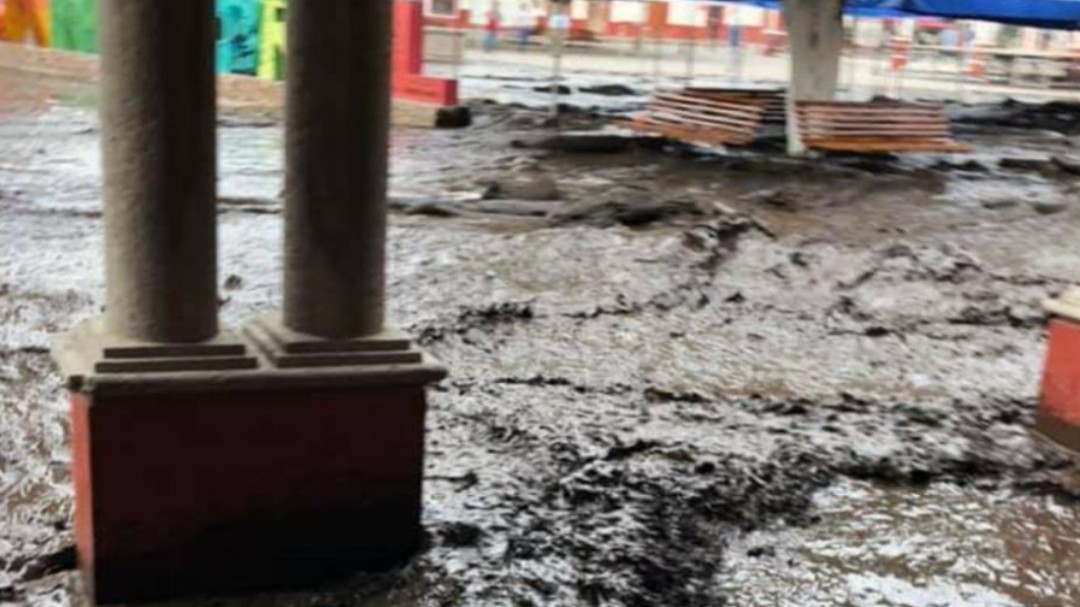 Sin brotes de enfermedades en San Gabriel