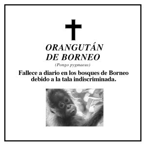 Que descanse en paz; las esquelas que despiden a 7 especies Que descanse en paz; las esquelas que despiden a 7 especies