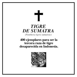 Que descanse en paz; las esquelas que despiden a 7 especies Que descanse en paz; las esquelas que despiden a 7 especies