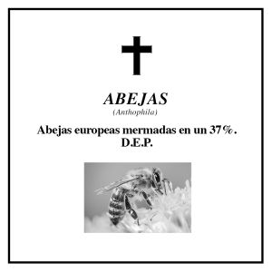 Que descanse en paz; las esquelas que despiden a 7 especies Que descanse en paz; las esquelas que despiden a 7 especies
