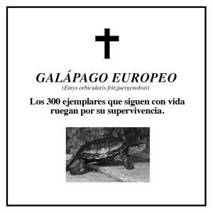 Que descanse en paz; las esquelas que despiden a 7 especies Que descanse en paz; las esquelas que despiden a 7 especies