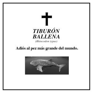 Que descanse en paz; las esquelas que despiden a 7 especies Que descanse en paz; las esquelas que despiden a 7 especies