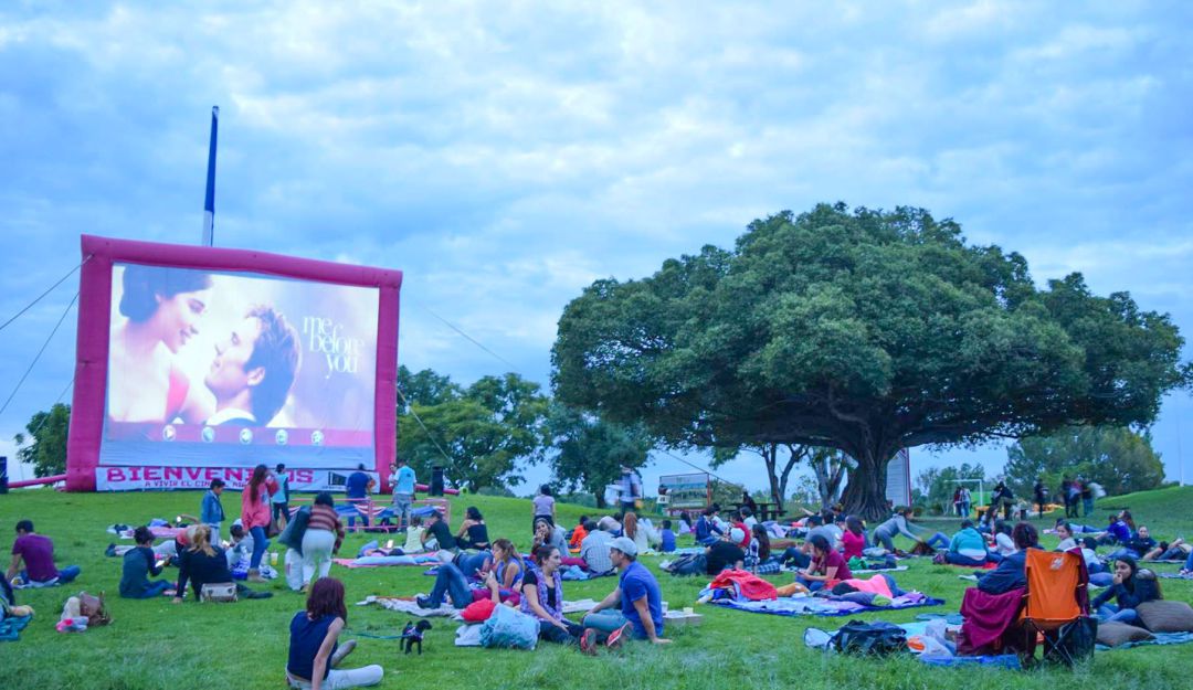 Cinema Live