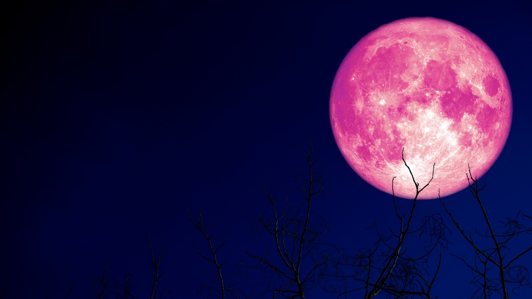 Prepárate para la Luna de Fresa que estamos a punto de presenciar
