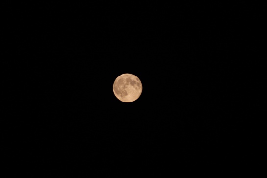 Prepárate para la Luna de Fresa que estamos a punto de presenciar Prepárate para la Luna de Fresa que estamos a punto de presenciar