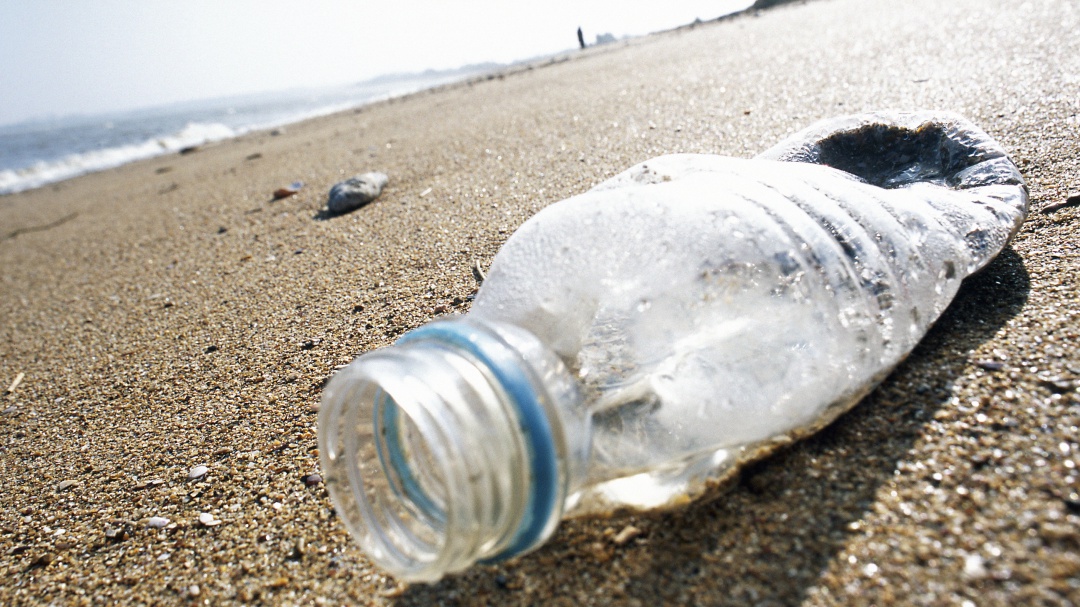 Más de 600 buzos rompen récord mundial al limpiar una playa