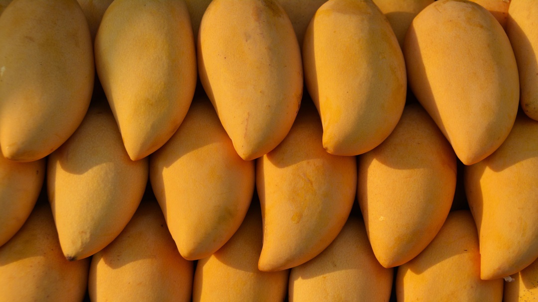 En riesgo el café, mezcal y el mango por crisis de polinización