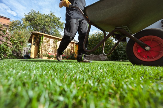 Canadá en busca de jardineros mexicanos; ganarán 29 mil pesos Canadá en busca de jardineros mexicanos; ganarán 29 mil pesos