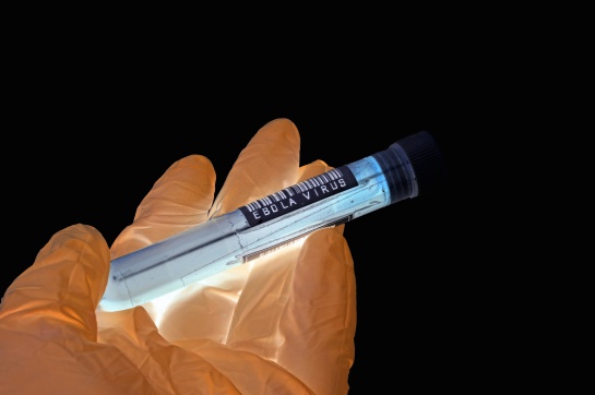 Declara la OMS emergencia de salud mundial por brote de ébola Declara la OMS emergencia de salud mundial por brote de ébola