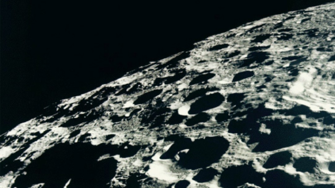 Cultivos Cannabinoides en el espacio: #MoonLandingWFM