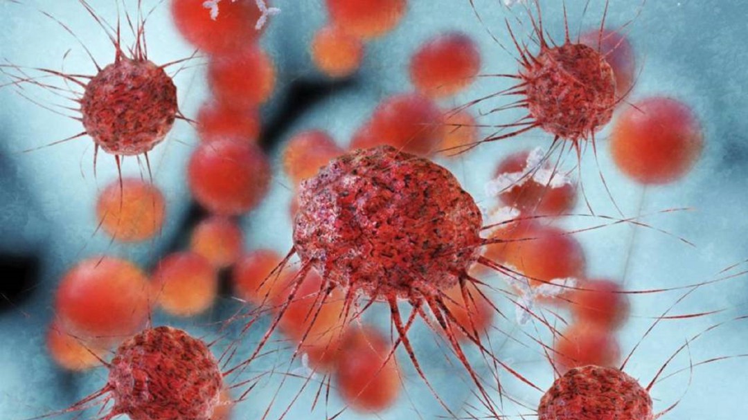Prometedora terapia para pacientes con cáncer