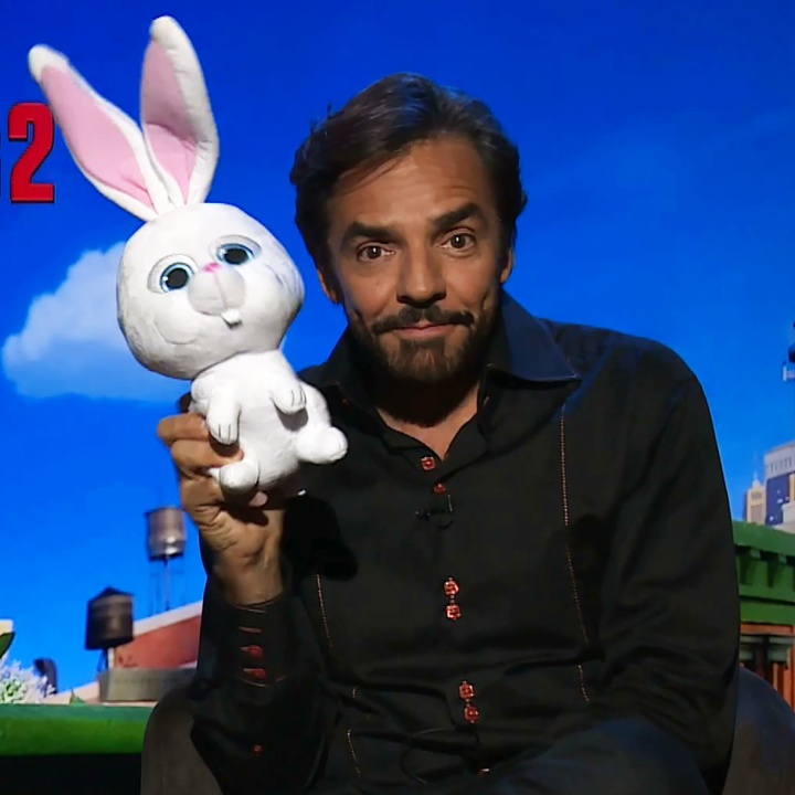 De Película: La vida secreta de tus mascotas 2