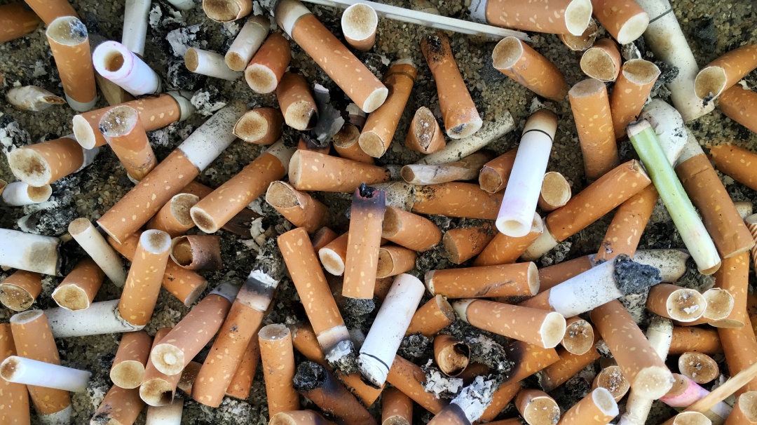 Por un mejor ambiente; recogen 27 mil colillas de cigarro en playa Miramar