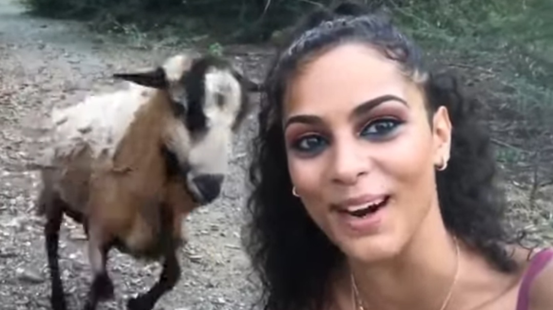 Ella sólo quería una selfie y una cabra la recibe con tremendo 'cabezazo'