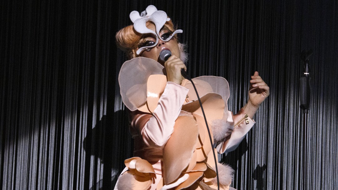 Björk conquistó el Parque Bicentenario