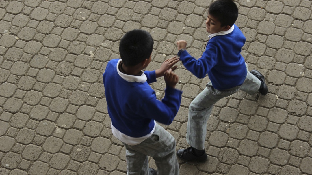 Alerta Consejo Ciudadano ante el acoso escolar en nuevo ciclo