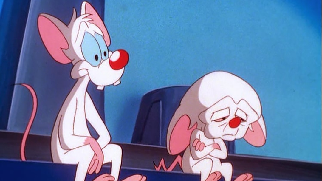 Pierde la vida el guionista de "Pinky y Cerebro" y "Animaniacs"