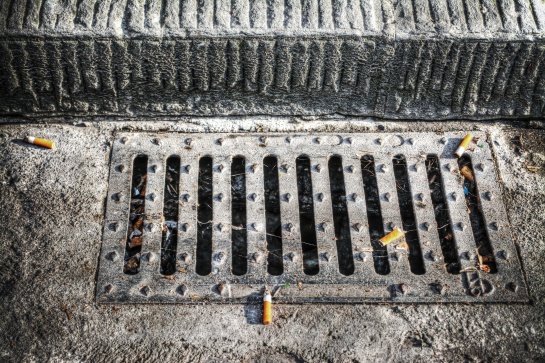 Cuando un filtro o colilla llega a los ríos y mares y hace contacto con el agua llega a contaminar de ocho a 10 mil litros Cuando un filtro o colilla llega a los ríos y mares y hace contacto con el agua llega a contaminar de ocho a 10 mil litros