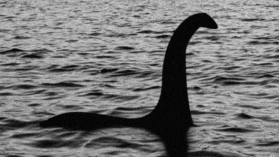 Estudio revela que el monstruo del Lago Ness podría ser una anguila gigante
