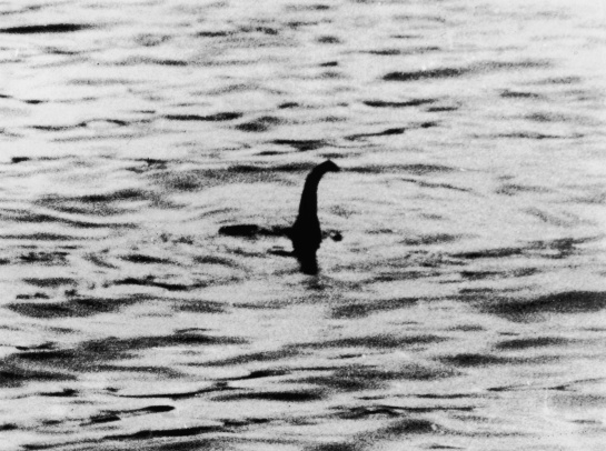 Estudio revela que el monstruo del Lago Ness podría ser una anguila gigante