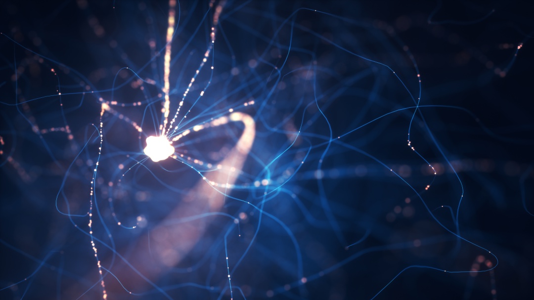 Neuronas Espejo