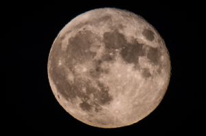 luna-cosecha-septiembre-2019 luna-cosecha-septiembre-2019