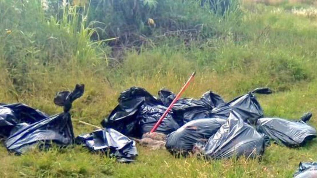 Localizan 17 bolsas con restos humanos en Jalisco