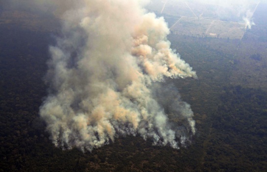El país que más ha sufrido por los incendios forestales ha sido Bolivia El país que más ha sufrido por los incendios forestales ha sido Bolivia