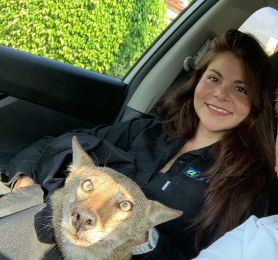 La joven relató que todas las acciones para salvar la vida de Pancho se realizan bajo la supresión de un médico veterinario La joven relató que todas las acciones para salvar la vida de Pancho se realizan bajo la supresión de un médico veterinario