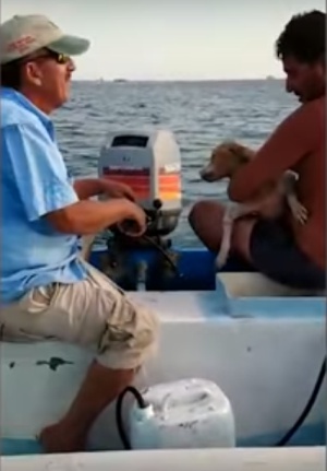 El perrito se encontraba agotado de tanto haber nadado El perrito se encontraba agotado de tanto haber nadado