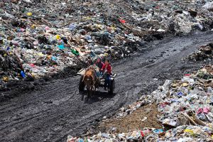 Mongolia Mongolia