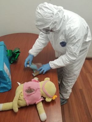 perros-de-la-guardia-nacional-detectan-droga-en-paquetes perros-de-la-guardia-nacional-detectan-droga-en-paquetes