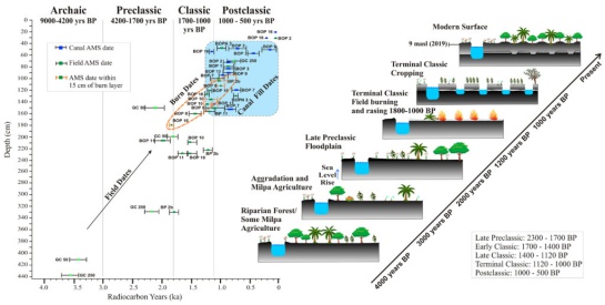 Hallan red de canales mayas que dejó un impacto negativo en los bosques Hallan red de canales mayas que dejó un impacto negativo en los bosques