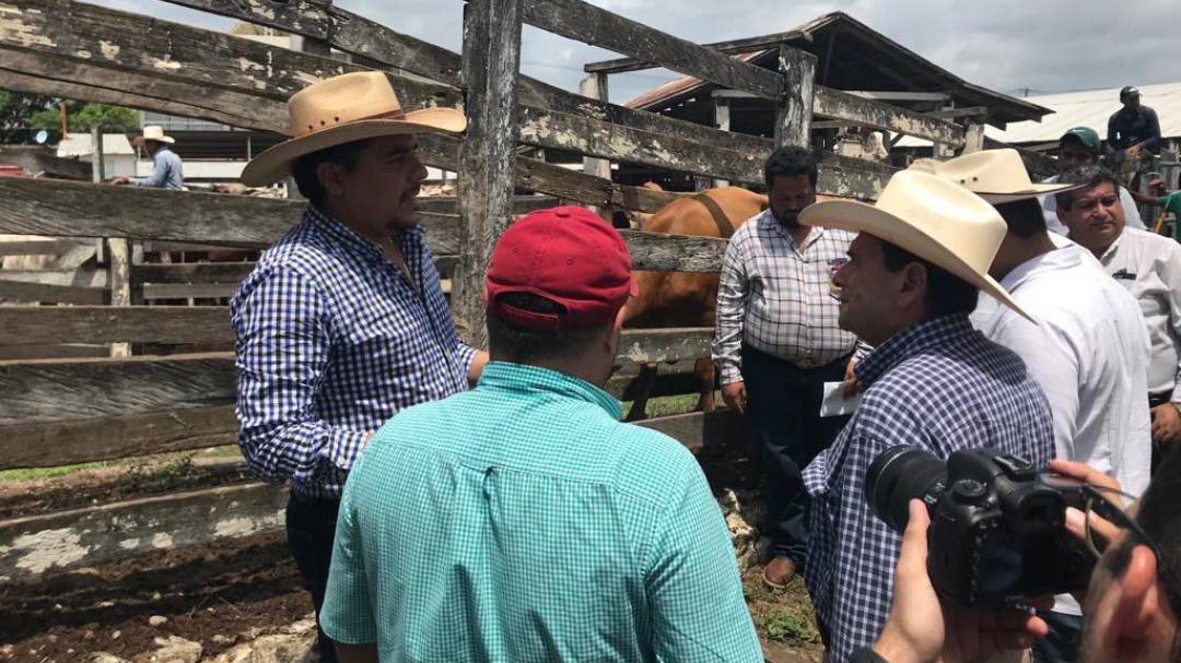 Respaldan ganaderos "cinturón de control" contra trasiego de reses