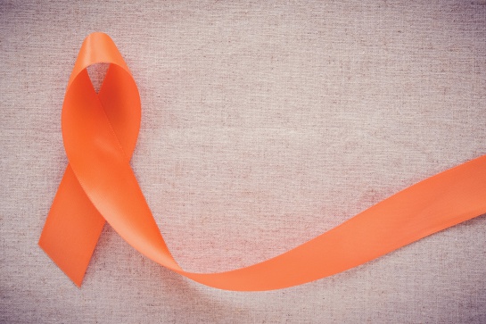 La leucemia es un cáncer en los tejidos que forman la sangre: médula ósea y sistema linfático La leucemia es un cáncer en los tejidos que forman la sangre: médula ósea y sistema linfático