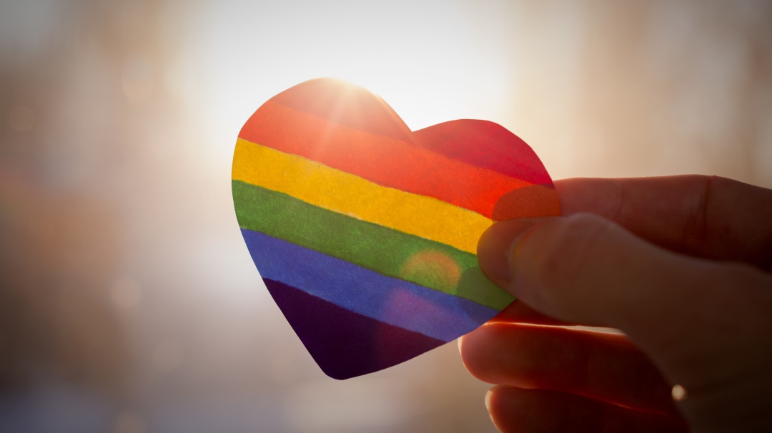 Una vida homosexual