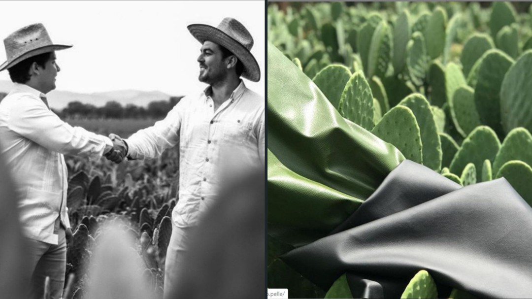 Conoce Desserto, la piel sintética hecha de nopal creada por mexicanos