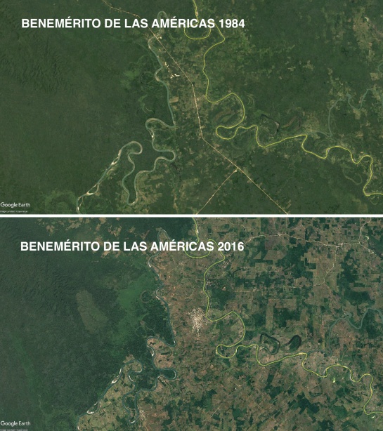 Deforestación en el municipio Benemérito de las Américas, Chiapas, donde se encuentra parte de la Selva Lacandona Deforestación en el municipio Benemérito de las Américas, Chiapas, donde se encuentra parte de la Selva Lacandona